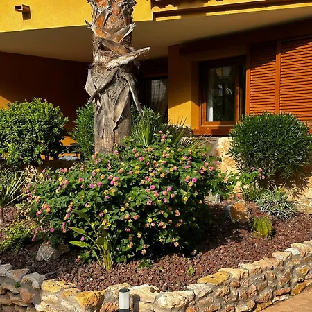 Apartment Ground Floor Punta Prima Looking At The Pool